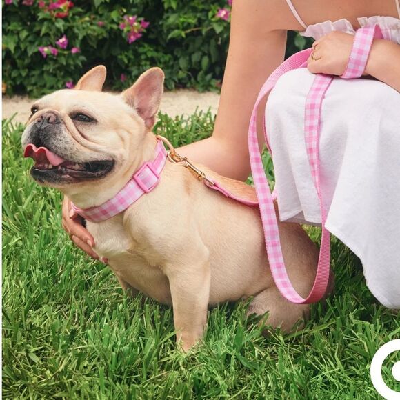 [stoney clover lane x target] BNWT gingham leash and collar set #12 - Picture 1 of 12
